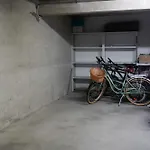 Dandelion Rovinj-free Bikes