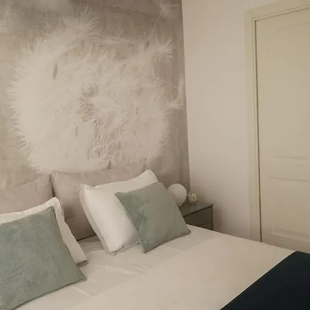 Dandelion Rovinj-free Bikes Rovinj