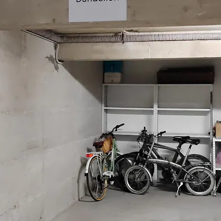 Appartement Dandelion Rovinj-free Bikes Rovinj