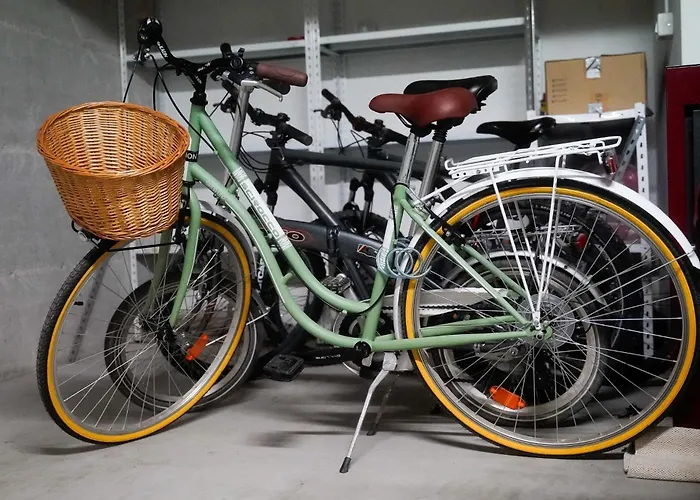 Dandelion Rovinj-free Bikes