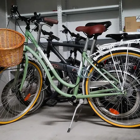 Dandelion Rovinj-free Bikes