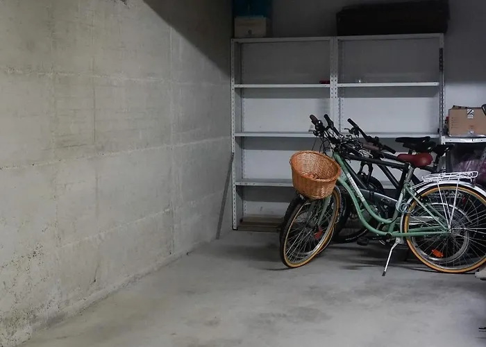 Dandelion Rovinj-free Bikes