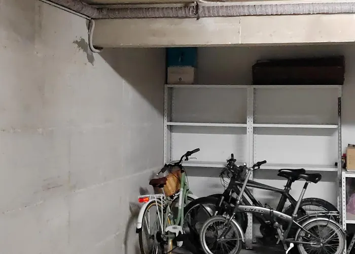 Apartment Dandelion Rovinj-free Bikes Rovinj